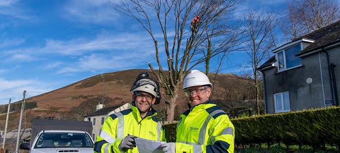 enwl tree cutting